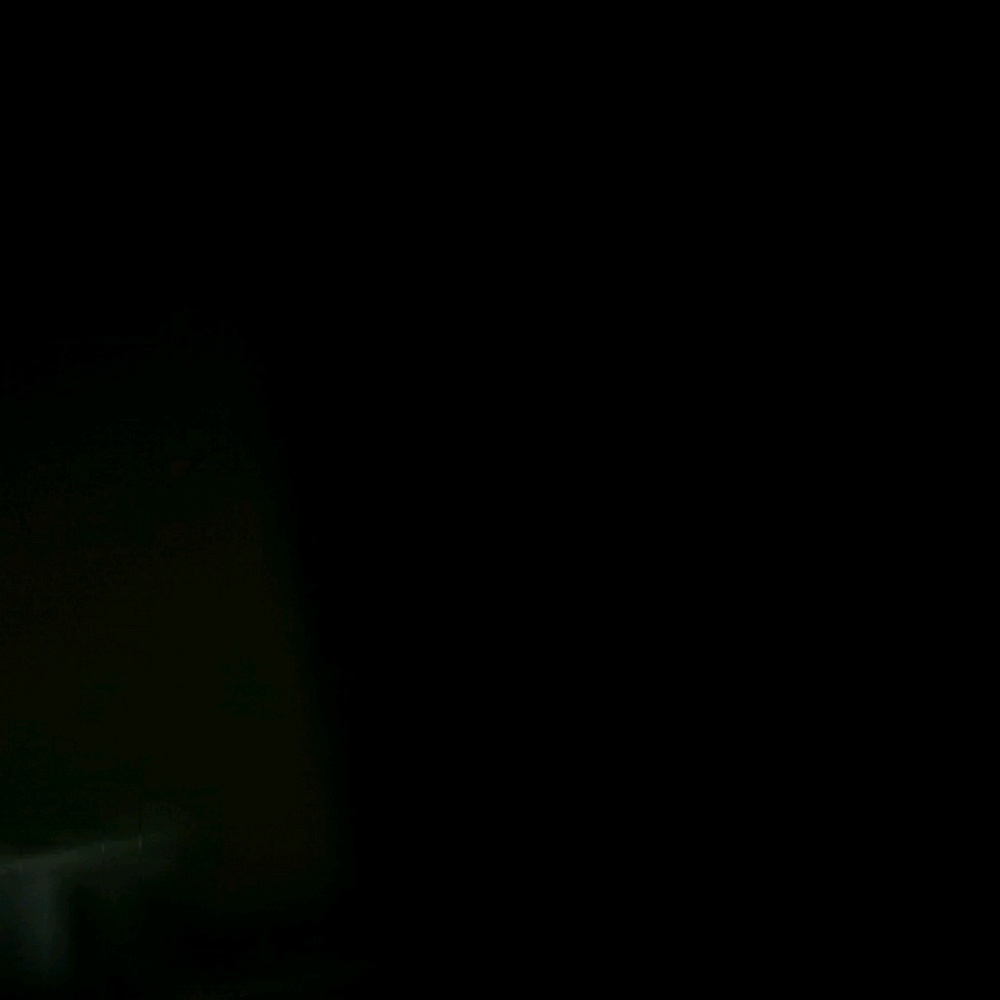 Meet your Posher, Dwight